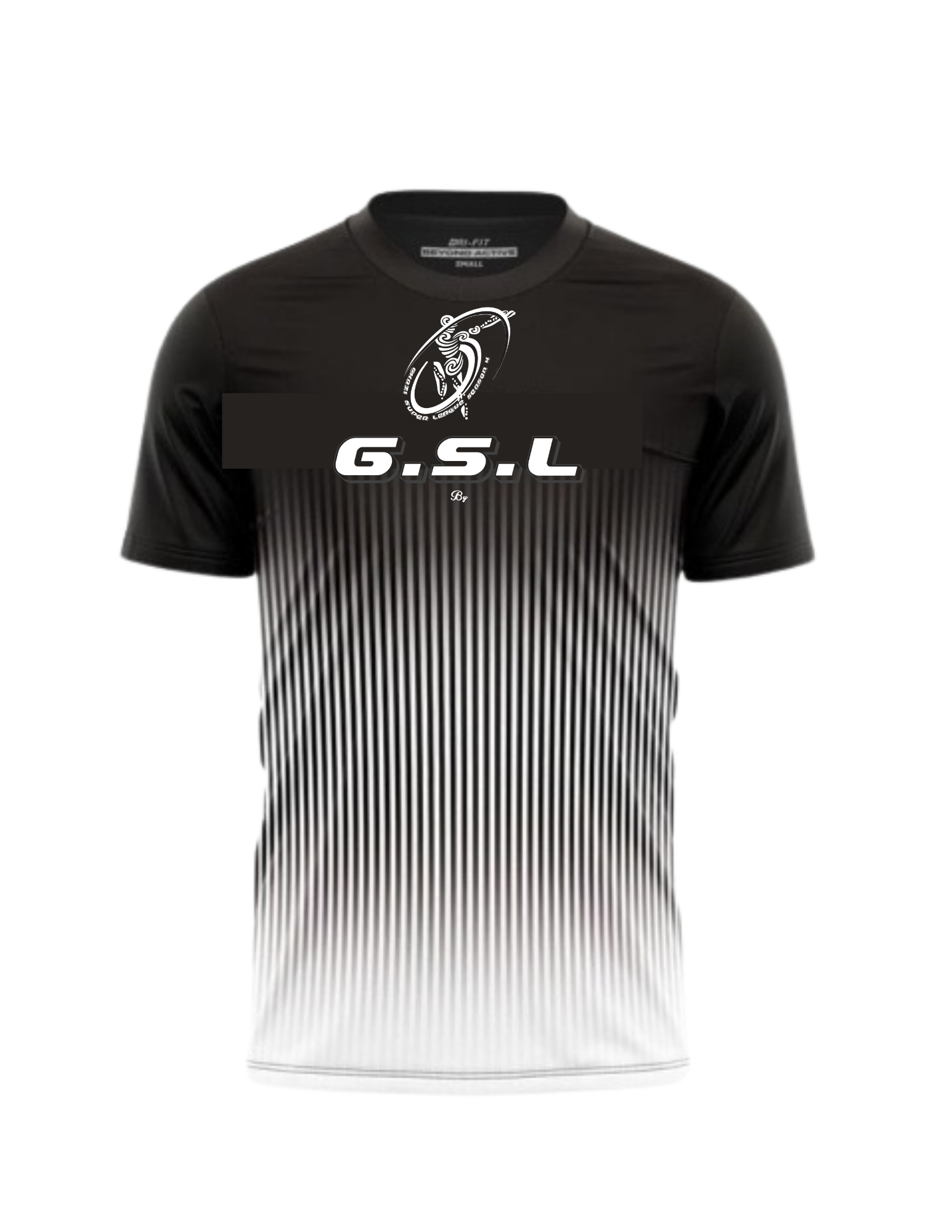 GSL.pdf (1)